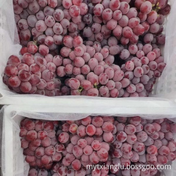 China red grape red globe yunnan grape fresh fruit exporter